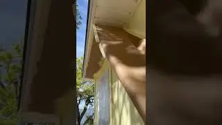 Exterior yellow paint color