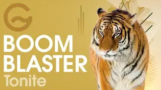 BoomBlaster - Tonite [Official]