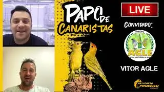 PAPO DE CANARISTAS - EP. 3 - CRIAT&Oacute;RIO AGLE(MUTA&Ccedil;&Otilde;ES DE CAN&Aacute;RIO DA TERRA)
