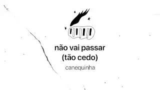 n&atilde;o vai passar (t&atilde;o cedo)  - canequinha (CLIPE OFICIAL)