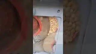 Small Scale Hemp Seed Shelling Machine From cara@machinehall.com