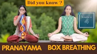 Is Box Breathing the Same as Pranayama? Here&rsquo;s the Real Difference