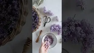 Flower Infused Honey Recipe