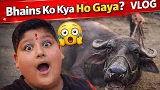 Bhains Ke Pet Mein Kide 😱 | Ghee Bechne Gaya Dukan Par | Real Village Vlog 🐃