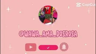 INICIANDO OS VIDEO LONGOS DOS ROSA !