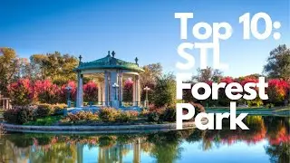 Discovering the Hidden Gems According to a Local: 10 Must-Do Activities in St. Louis Forest Park!