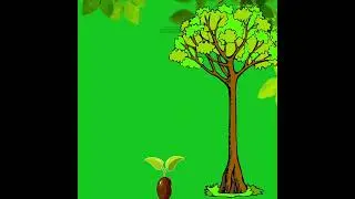seed to legacy| #shorts #viral