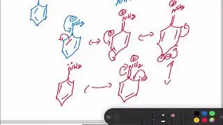 Write short notes on ortho, para directors in aromatic  / 11th /chemistry/ hydrocarbons /in tamil