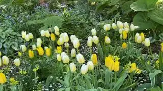 Spring! Lush gardens in Vancouver, Canada