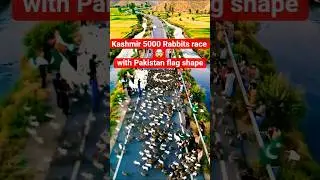 Epic 5000 Rabbits Form Pakistani Flag | 14 August Spectacle#14august #countryflag #foryou #ternding