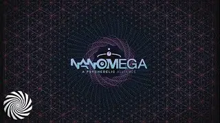 Introducing NanOmega for 2018