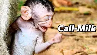 SADNESS CALL MILK BACK || PITY BABY CINN.