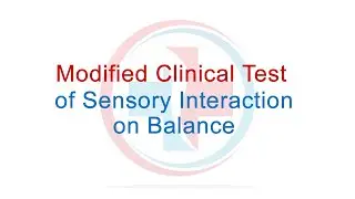 Topple Diagnostics: modified Clinical Test of Sensory Interaction on Balance (mCTSIB)