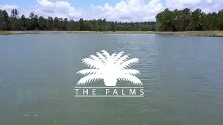 The Palms in New Hampstead