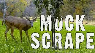 Mock scrapes are great tools to see buck activity!