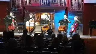 19 января МЗК Абонемент 19 CELLISSIMO 