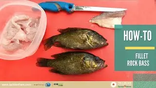 How-To: Fillet Rock Bass