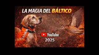 LA MAGIA DEL BALTICO 2025.      CAZA DE BECADAS ,BECCACCIA, BECASSE, WOODCOK.