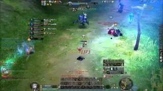 Aion 4.9 Antriksha Server Group PvP Akaron Turk Team(ASMO) vs Fantasy Team(ELYOS)....