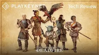 Pillars of Eternity II: Deadfire gameplay - Playkey.net calling all hands on deck!