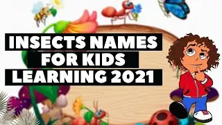 Insects Names For Kids Learning 2021 | Insect Names and Sounds for Children Music Video ~ Scrizzie