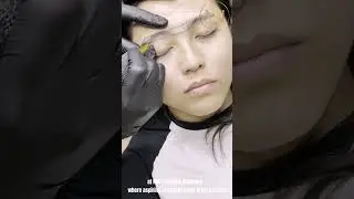 Ombre Brows Training Course