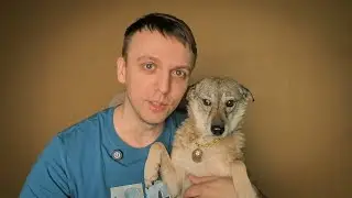 Ясенька пролетела с выставкой, приняли заявку Агаты | Пара слов о блокировке тг