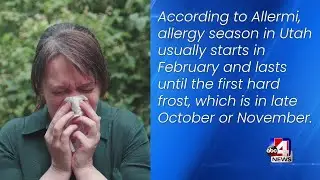Allergies in Utah: What You Need to Know