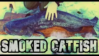 Smoked Catfish | OGROMAN SOM dimljen | Catch&Cook *catfish smoking process*