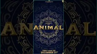 Animal Movie Day 6 Box Office Collection #shorts