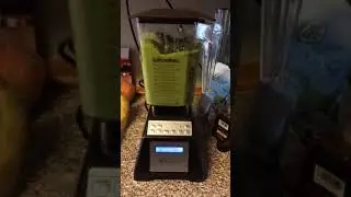 Blendtec total blender wild side jar smoothie