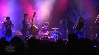 The Barons Of Tang - Even If You're Missing Fingers You Can Make A Fist (Live in Sydney) | Moshcam
