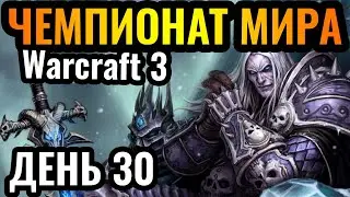 Кто ТОП-1?! Happy vs 120. Чемпионат мира по Warcraft 3. DWSL S2 День 30