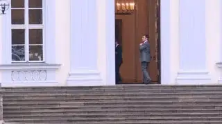 German president meets with the Greens amid political crisis