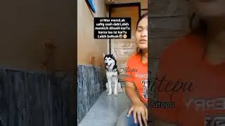 🐕 Max menoLakk dikas