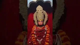Darbar Shri Lal Sahab ji Sitaram ji | #ayodhyashorts #rammandir #shortsfeed