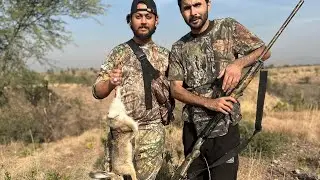 Teetar ka shikar |Partridge hunting in pakistan| teetar hunting | rabbit hunt |