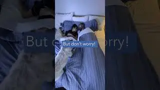 Why a #sleepnumber smart bed is great for couples