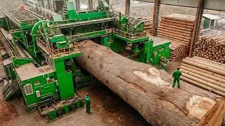 Inside the World&rsquo;s Largest Wood Processing Factory: How Raw Timber Becomes Monumental Art Pieces