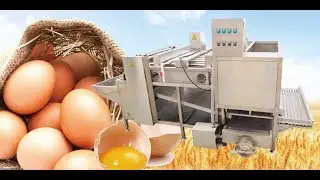 Boiled Egg Peeling Shelling Machine