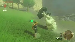 Where to find Hestu for the first time | The Legend of Zelda Tears of the Kingdom