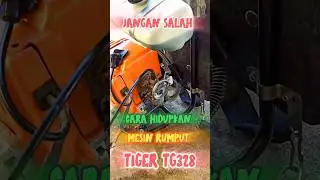 Mesin Rumput Lama tidak di hidupkan.Cara menghidupkan Mesin Potong Rumput.Awas jangan salah.