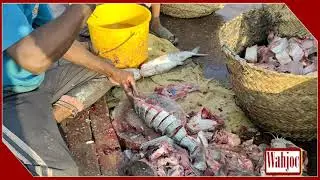 Khagga or Singhara (Cat Fish) | Cutting Skills