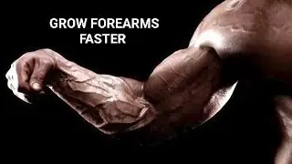 Grow your forearms fast by training with MR OLYMPIA 8 times lee haney official Forearm Workout