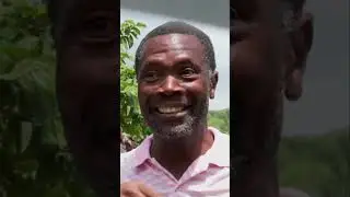MrBeast built houses in Jamaica to poor families! #shorts #viral #mrbeast