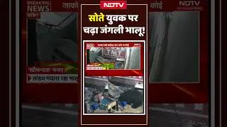 Kanker: सोया हुआ था युवक, सूंघकर चला गया भालू, CCTV में कैद हुई घटना | #shorts #bearattack