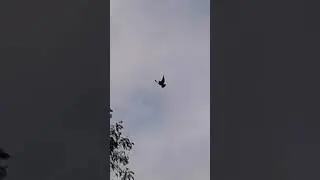 20191116 101500