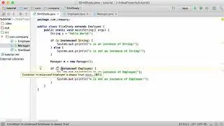 75.Java Tutorial - #75 - instanceof Keyword