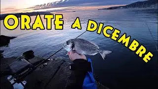 ORATE A DICEMBRE || Bellissima pescate a la Spezia