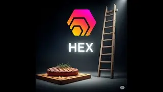 Hex Lunch Money Stake Challenge - 12 Year Stake - (Week 4 of 15)